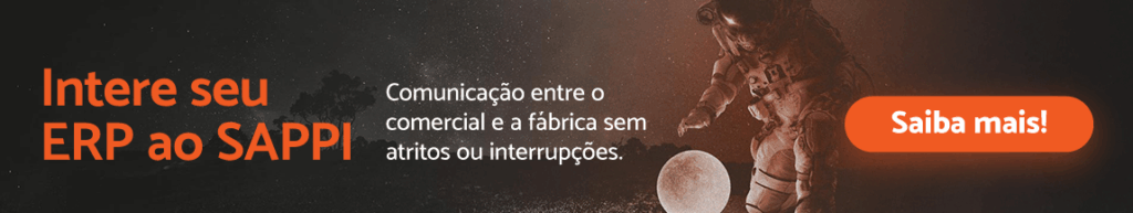 ERP e SAPPI 